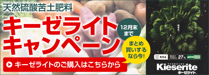 天然硫酸苦土肥料 キーゼライトキャンペーン