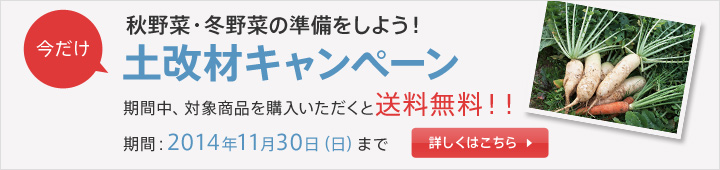 bn_campaign_kouso.jpg