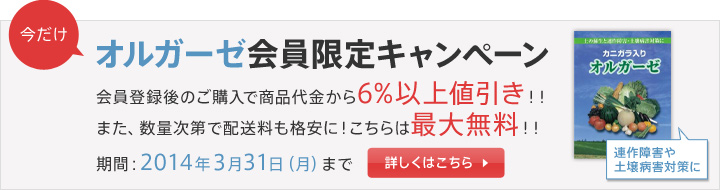 bn_campaign_orugaze.jpg