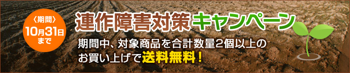 bn_campaign_rensaku.jpg
