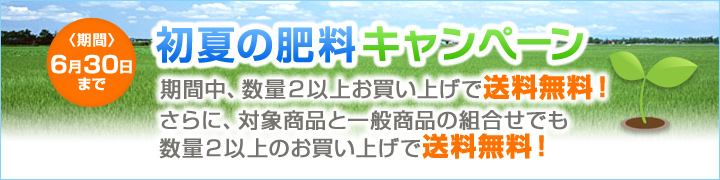 bn_campaign_summer.jpg