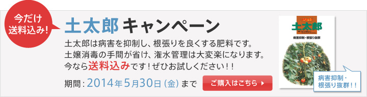 bn_campaign_tsuchitaro2.jpg