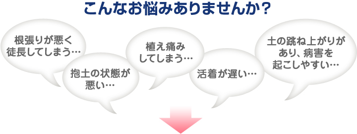 こんなお悩みありませんか？ 根張りが悪く徒長してしまう 抱土の状態が悪い 植え痛みしてしまう 活着が遅い 土の跳ね上がりがあり、病害を起こしやすい