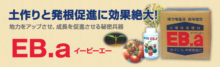 土づくりと発根促進に効果絶大！地力をアップさせ、成長を促進させる秘密兵器 EBa イービーエー