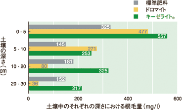 土壌中のそれぞれの深さにおける根毛量(mg/l)