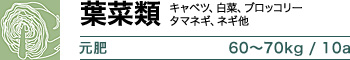 葉菜類 元肥 60～70kg / 10a