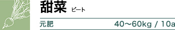 甜菜 元肥 40～60kg / 10a