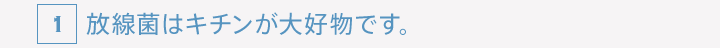 放線菌はキチンが大好物です。
