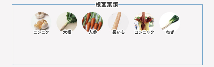 根茎菜類 ニンニク 大根 人参 長いも コンニャクねぎ
