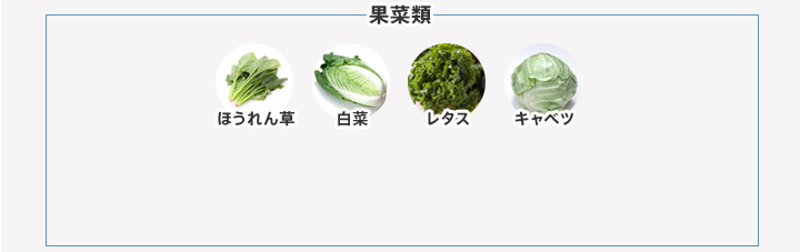 果菜類 ほうれん草 白菜 レタス キャベツ