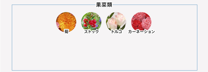 果菜類 菊 ストック トルコ カーネーション