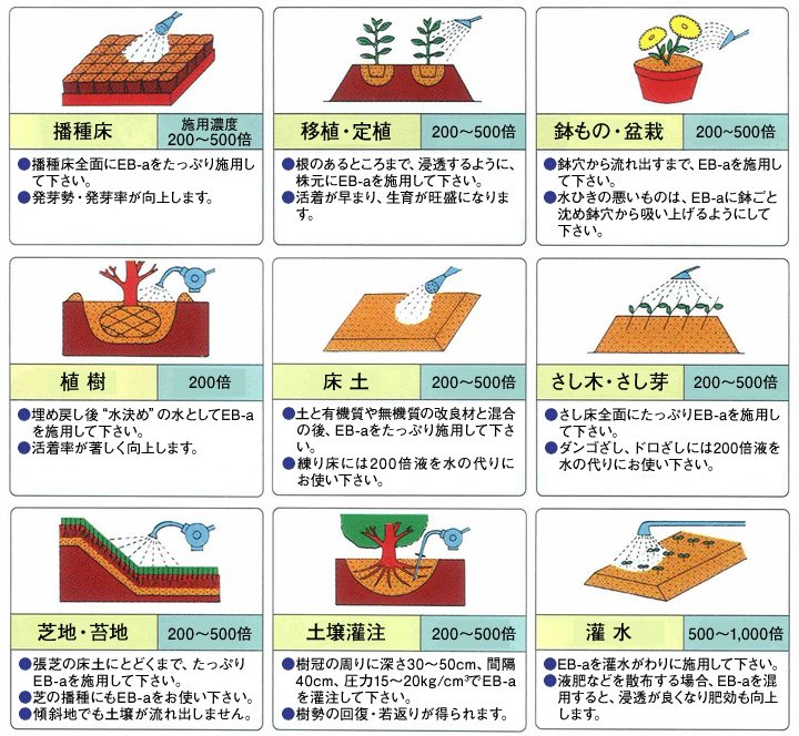 EB-aの施用方法