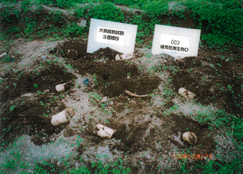 C区:嫌気性微生物資材D