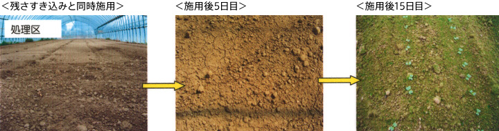 処理区