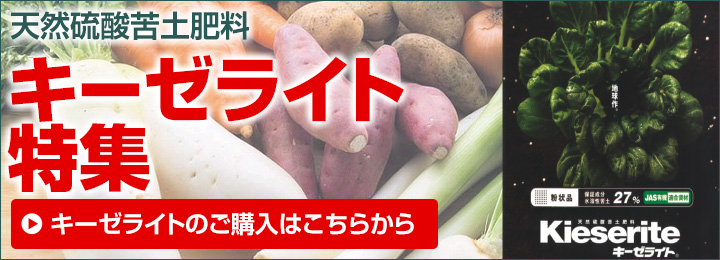 天然硫酸苦土肥料 キーゼライトキャンペーン
