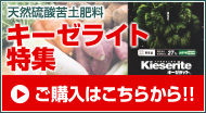 天然硫酸苦土肥料 キーゼライト